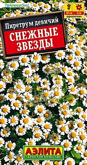 Пиретрум Снежные звезды, 7 шт.