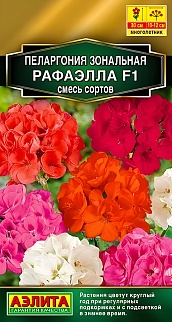 Пеларгония Рафаэлла F1, смесь окрасок, 5 шт.