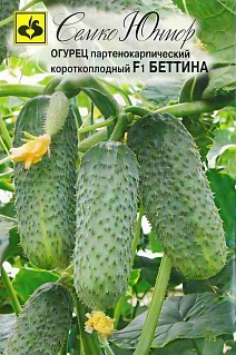 Огурец Беттина F1, 10 шт.