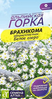 Брахикома Белое озеро, 0,05 г. Альпийская горка.