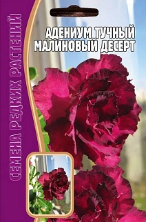 Адениум Малиновый Десерт, 3 шт. Редкие семена.