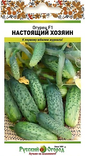 Огурец Настоящий хозяин F1, 10 шт. Русский огород