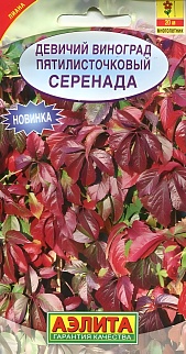 Девичий виноград Серенада, 10 шт. 