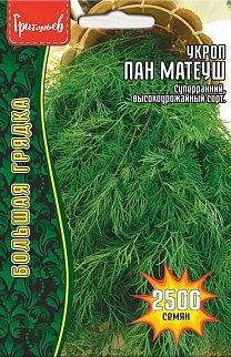 Укроп Пан Матеуш, 2500 шт.