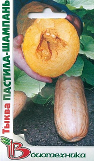 Тыква Пастила Шампань , 5 шт. Биотехника