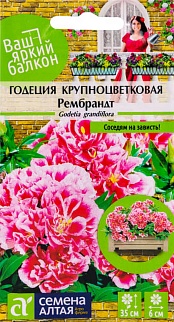 Годеция Рембрандт, 0,2 г. Ваш яркий балкон