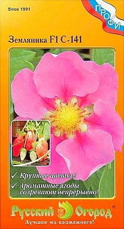 Земляника F1 C-141, 4 шт. Русский огород