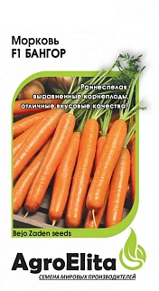 Морковь Бангор F1, 150 шт. Голландия.