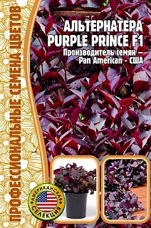 Альтернатера Purple Prince F1, 3 шт.