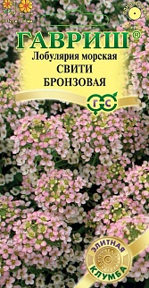 Лобулярия Свити бронзовая, 15 шт. Элитная клумба. 