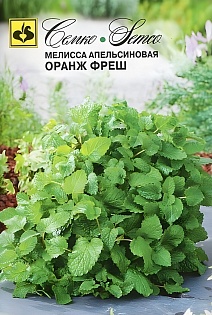 Мелисса апельсиновая Оранж фреш, 15 шт.
