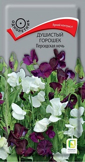 Душистый горошек Персидская ночь, 1 г
