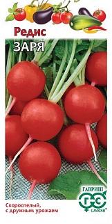 Редис Заря, 3 г. Гавриш.