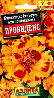Бархатцы Провиденс отклоненные, 7 шт.