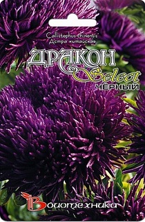 Астра китайская Дракон Чёрный, 100 шт. Биотехника