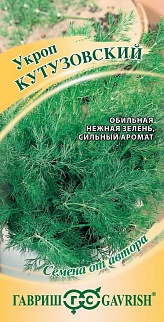Укроп Кутузовский, 2 г. Семена от автора