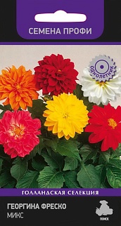 Георгина Фреско Микс, 10 шт. Семена профи