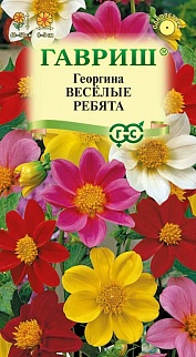 Георгина Веселые ребята, 0,3 г. Гавриш