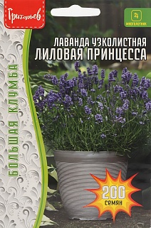 Лаванда Лиловая Принцесса узколистная, 200 шт.