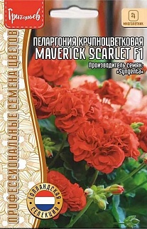 Пеларгония грандифлора Маверик Скарлет F1, 3 шт.