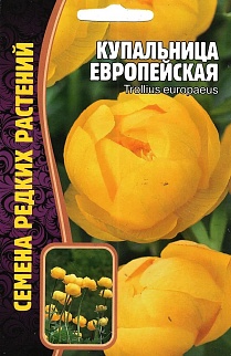 Купальница Европейская, 20 шт.