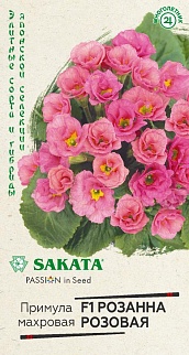 Примула Розанна розовая F1 махровая, 5 шт. Сакат.
