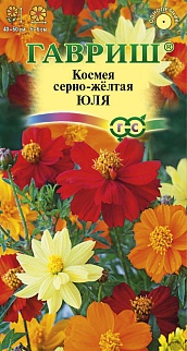 Космея Юля, карликовая, смесь 0,3 г