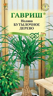 Нолина Бутылочное дерево, 3 шт.