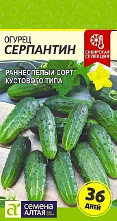 Огурец Серпантин 0,5 г. Сибирская Селекция.