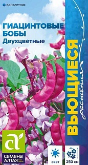 Гиацинтовые бобы Двухцветные, 1 г. Вьющиеся растения.