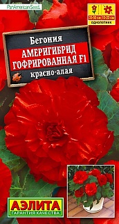 Бегония гофрированная Америгибрид F1, красно-алая, 5 шт.