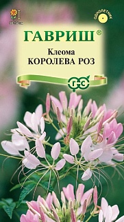 Клеома Королева роз, 0,2 г 