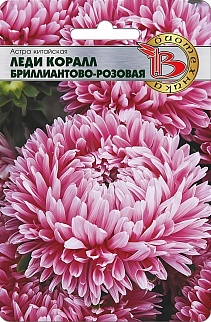Астра Лели Коралл Брилиант Роз, 40 шт. Биотехника