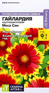 Гайлардия Меса Сан, 3 шт. Профессиональные семена.