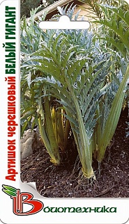 Артишок черешковый, Белый Гигант, 10 шт. Биотехника.