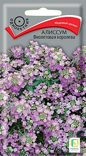 Алиссум Фиолетовая королева, 0,3 г