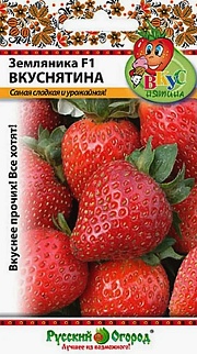 Земляника F1 вкуснятина, 4 шт. Русский огород