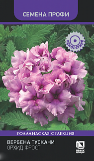 Вербена Тускани Орхид Фрост, 10 шт. Семена профи