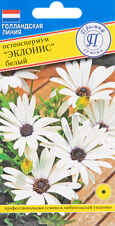 Остеоспермум Эклонис белый, 0,1 г Голландская линия