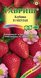 Земляника (Клубника) Мерлан F1, ремонтантная, 5шт. Ягодная полянка.