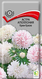 Астра Аполлония Крем-Брюле, 0,3 г