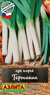 Лук порей Терминал, 1 г
