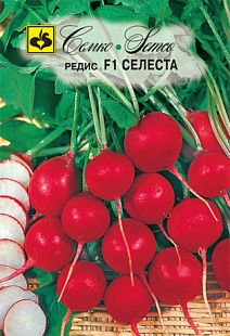 Редис Селеста F1, 1 г. Семко
