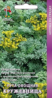 Рута овощная Кружевница, 25 шт.