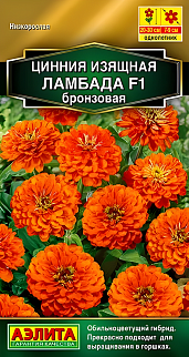 Цинния изящная Ламбада F1, бронзовая, 12 шт.