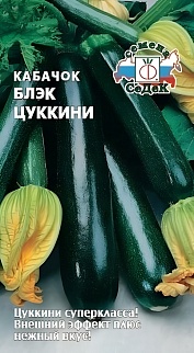 Кабачок Блэк Цуккини, 2 г. Седек.