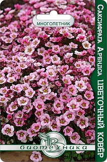 Саксифрага Арендса Цветочный Ковёр, 150 шт. Биотехника