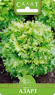 Салат Азарт, 0,5 г Биотехника