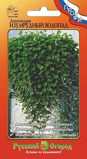 Дихондра Изумрудный водопад, 15 шт. Русский огород