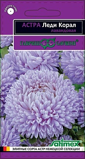 Астра Леди Корал лавандовая, розовидная, 0,05 г. Эксклюзив.